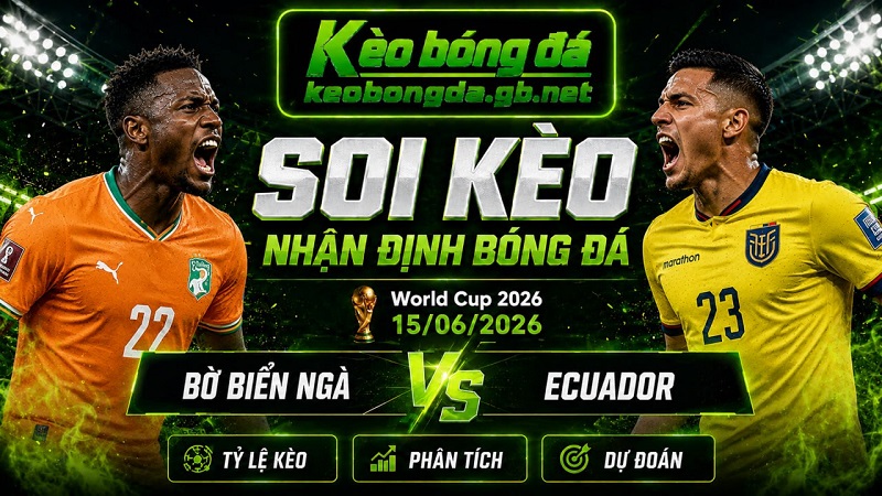 Đội hình dự kiến trước trận Bờ Biển Ngà và Ecuador Đội hình dự kiến trước trận Bờ Biển Ngà và Ecuador