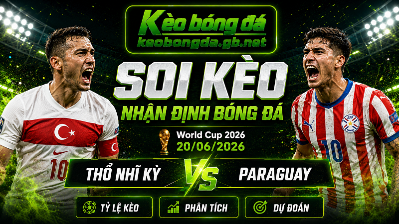 Đội hình dự kiến trước trận Thổ Nhĩ Kỳ và Paraguay Đội hình dự kiến trước trận Thổ Nhĩ Kỳ và Paraguay